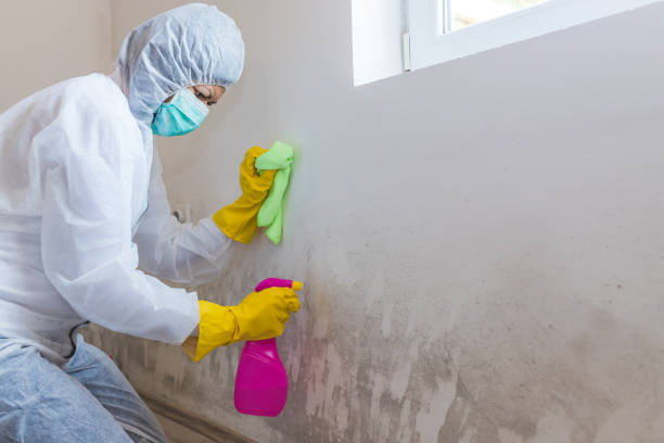 Best Forensic Mold Investigation  in Choctaw, OK